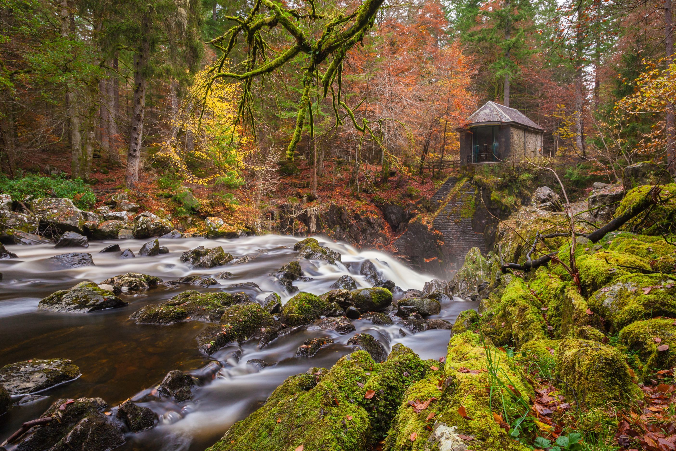 Heading.jpg