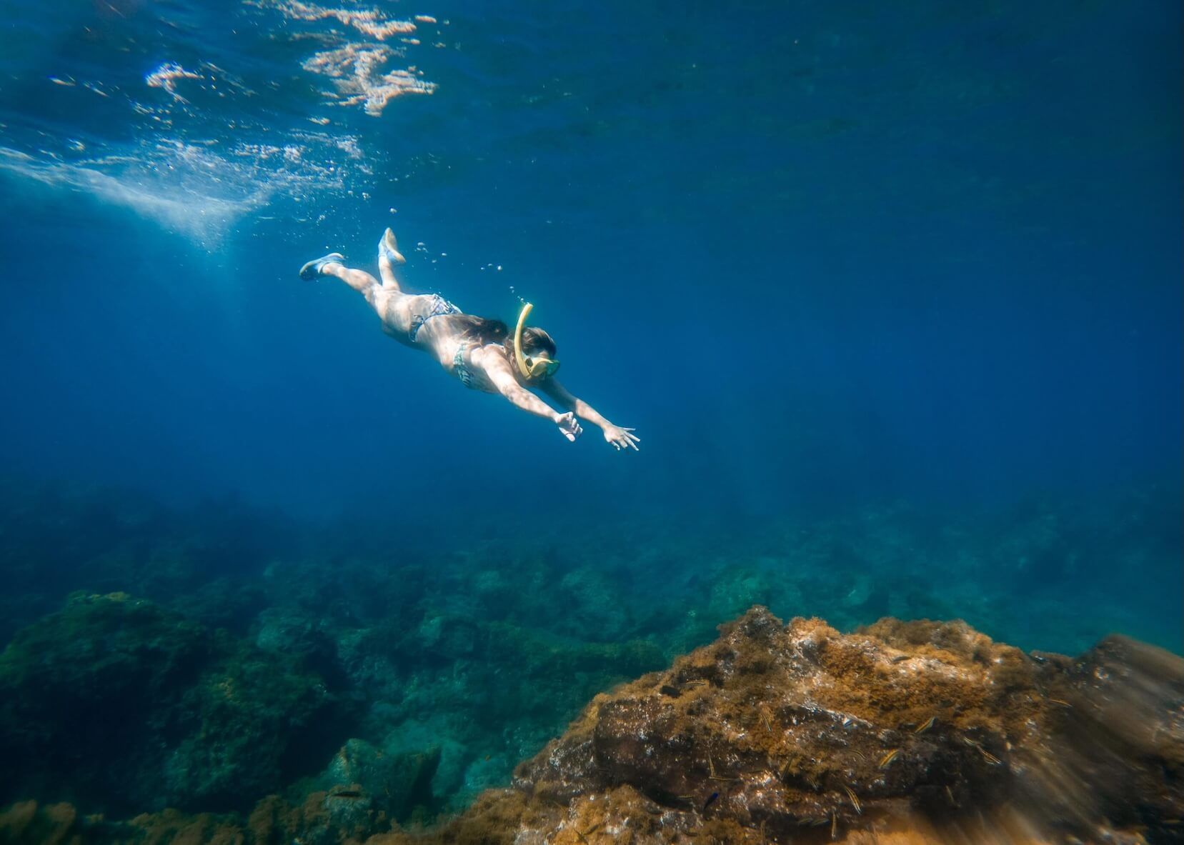 snorkling.jpg