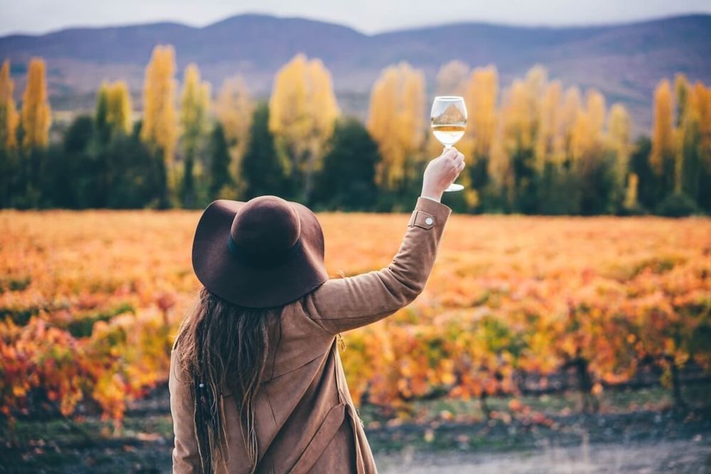wine-autumn.jpg